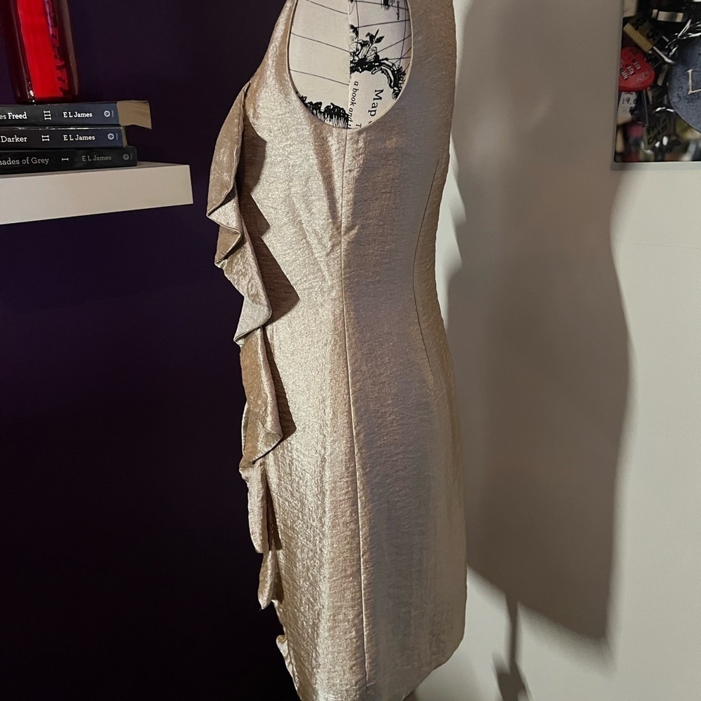 Suzi Chin for Maggie Boutique Dress - Picture 6 of 9